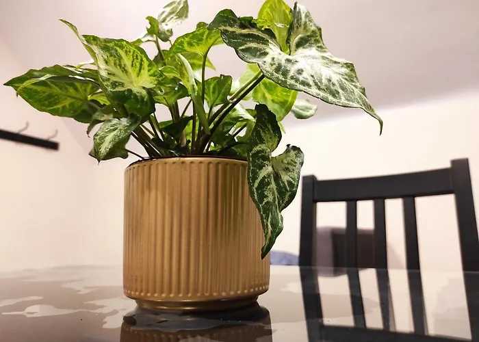 Moon Auberge de jeunesse Varsovie